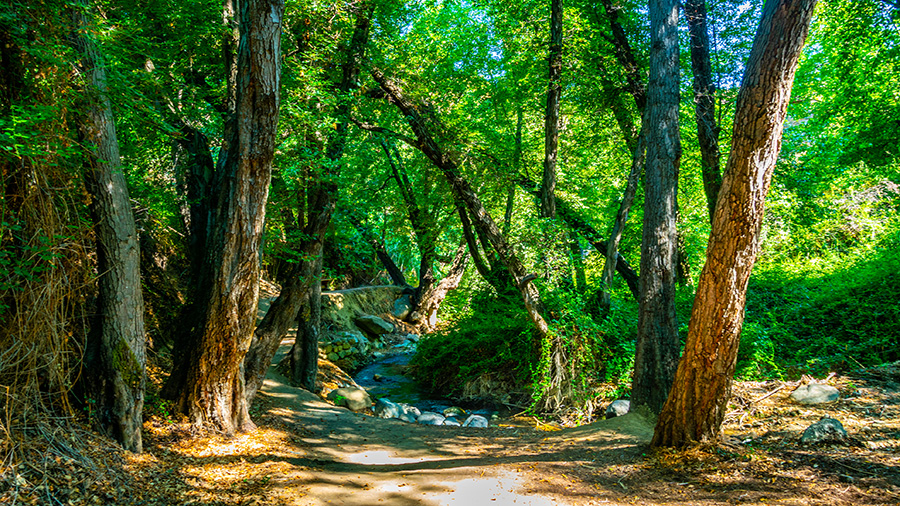 Discover the Troodos Trails
