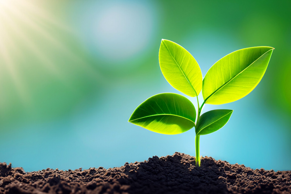 Eco-Friendly Living in Cyprus: Sustainable Practices for Your Home