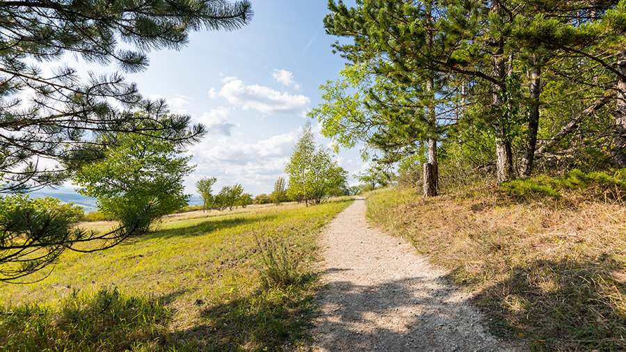 The Kalidonia Trail