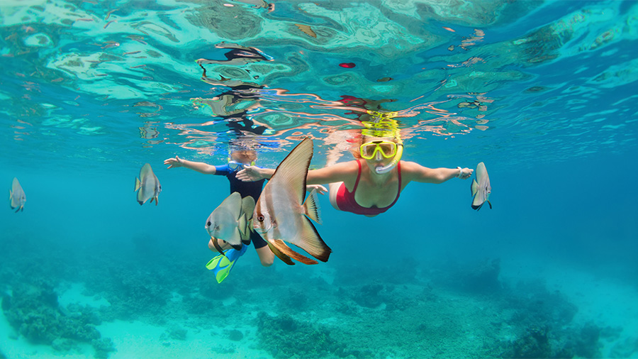 snorkelling adventures 